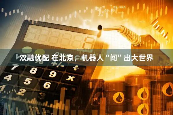 双融优配 在北京，机器人“闯”出大世界