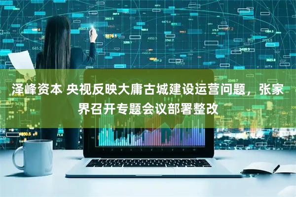 泽峰资本 央视反映大庸古城建设运营问题，张家界召开专题会议部署整改